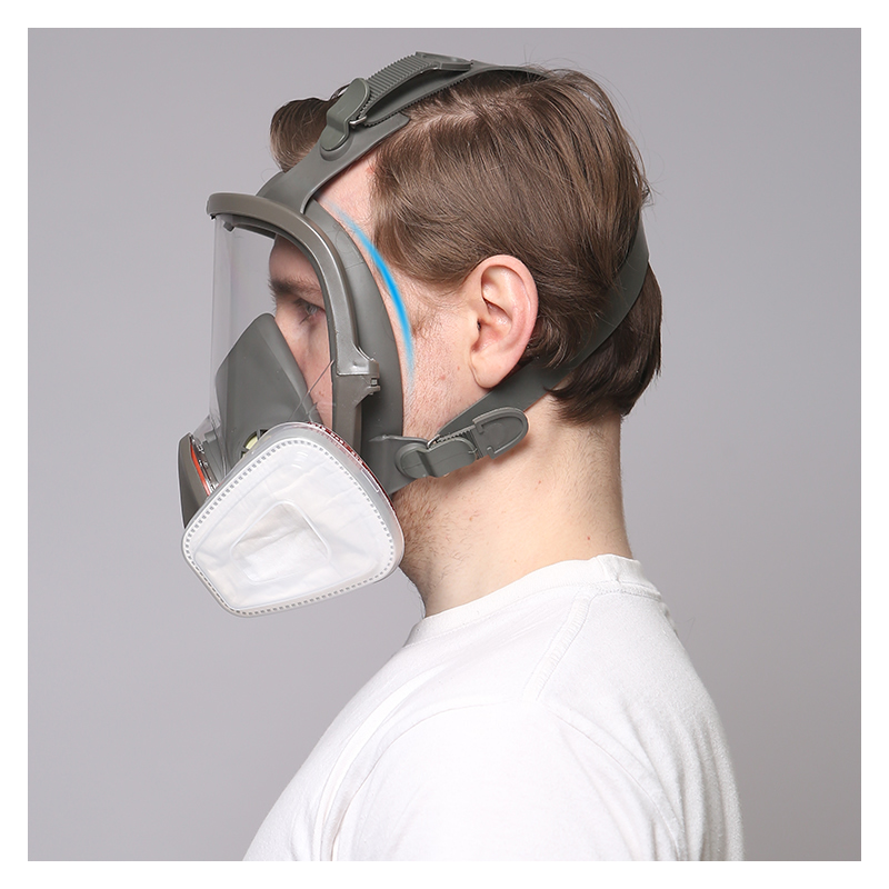 6800 Full Mặt Khí Mặt Nạ Phòng - đánh giá và giá Dust Mask Construction